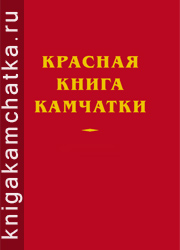 book Тюркская история