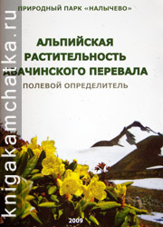 Камчатская книга: Альпийская растительность Авачинского перевала (полевой определитель)